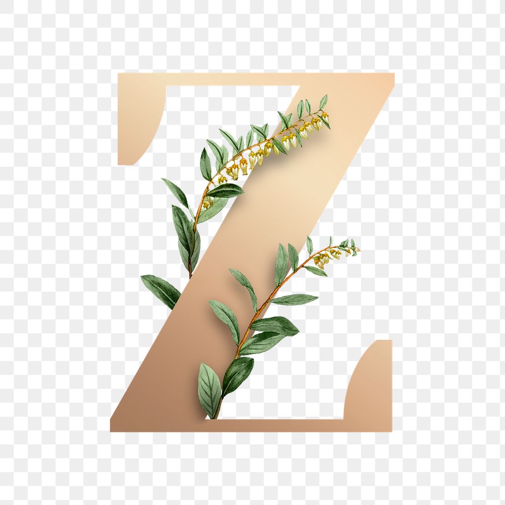Botanical capital letter Z transparent png