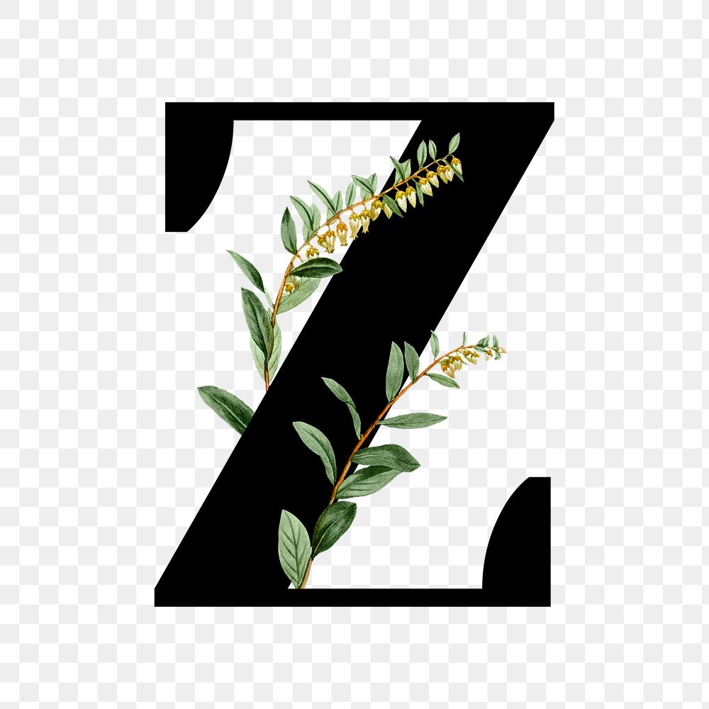 Botanical capital letter Z transparent png
