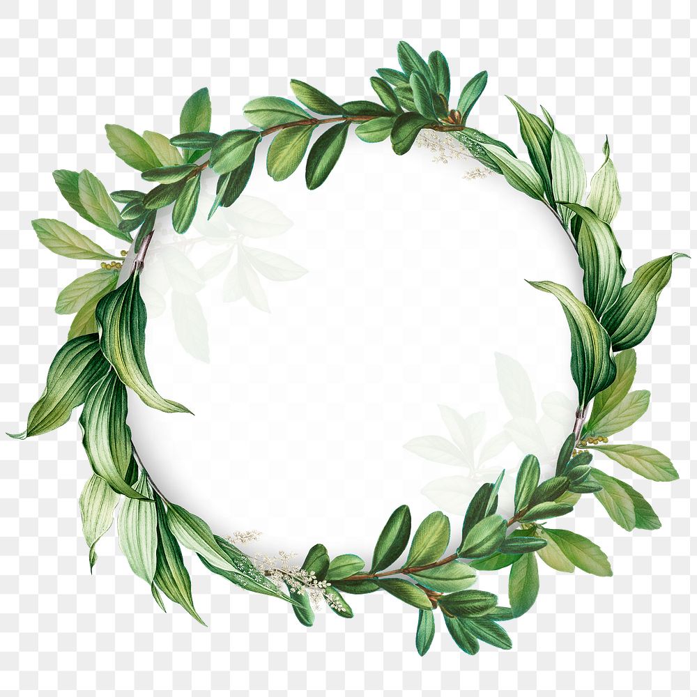 Tropical botanical wreath transparent png