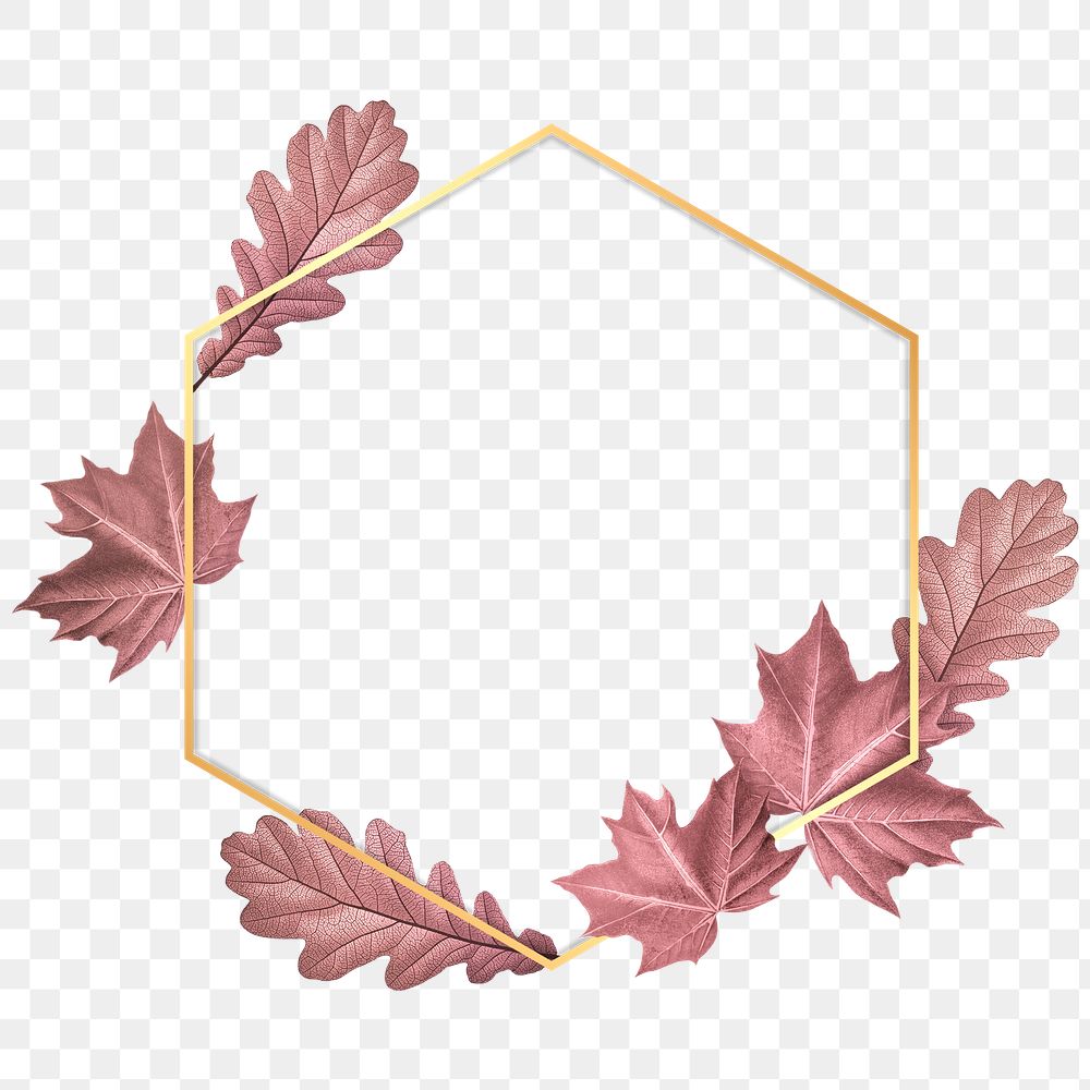 Pink leaves with hexagon frame design element
