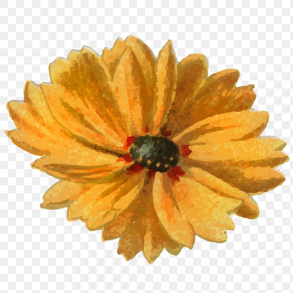 Coreopsis png flower cut out sticker
