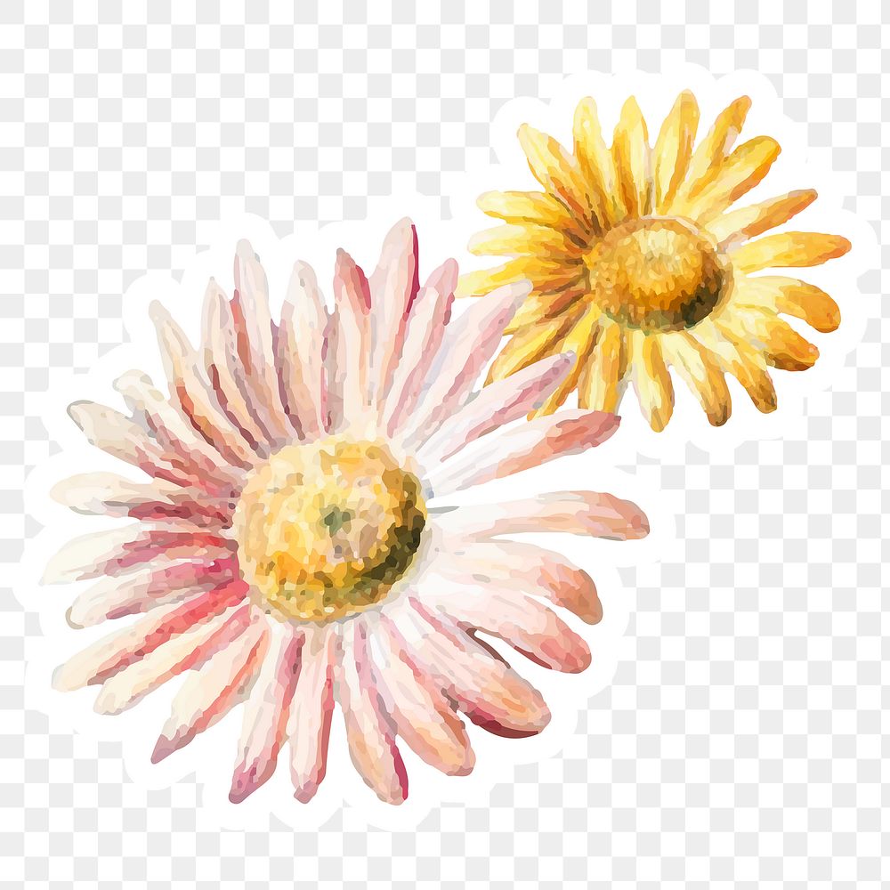 Daisy vintage png sticker pink and yellow flower