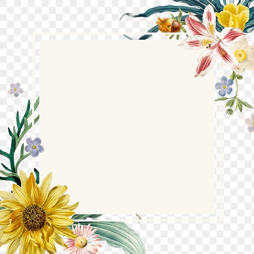 Summer floral border png frame