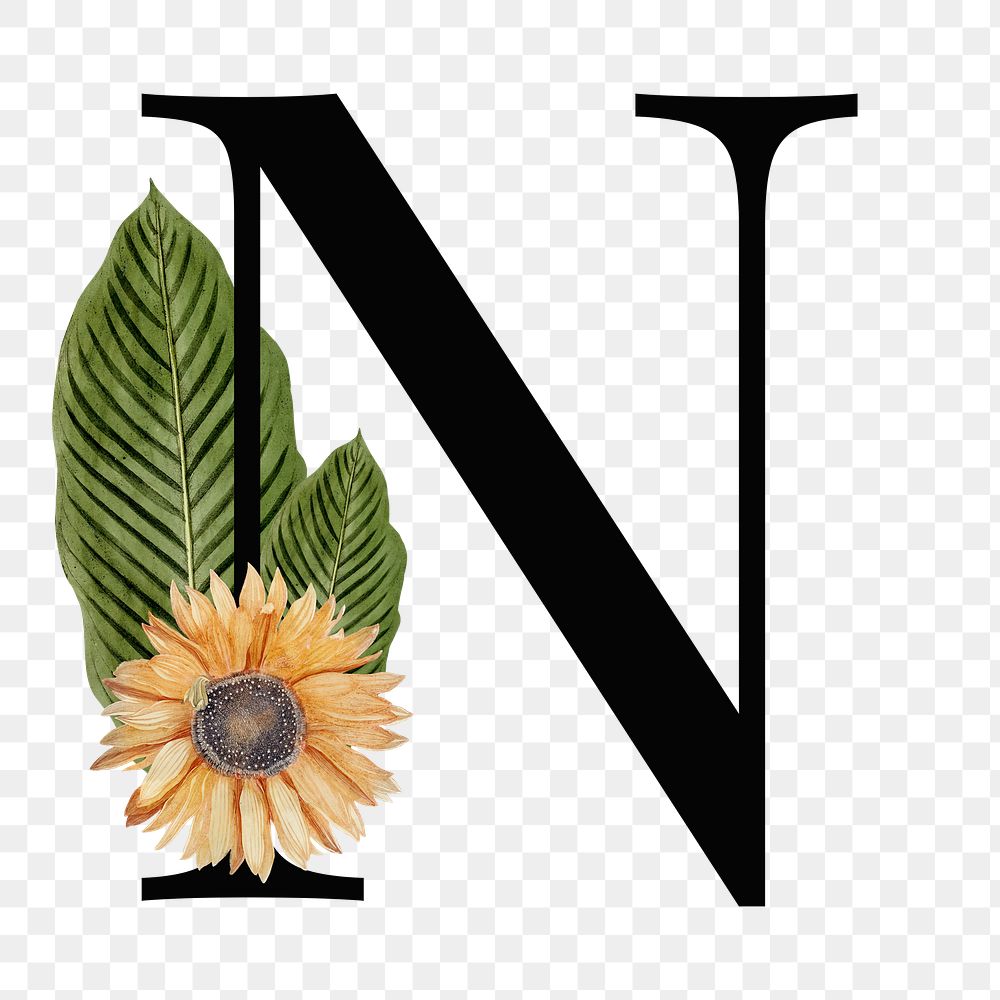 Elegant alphabet N png floral typography