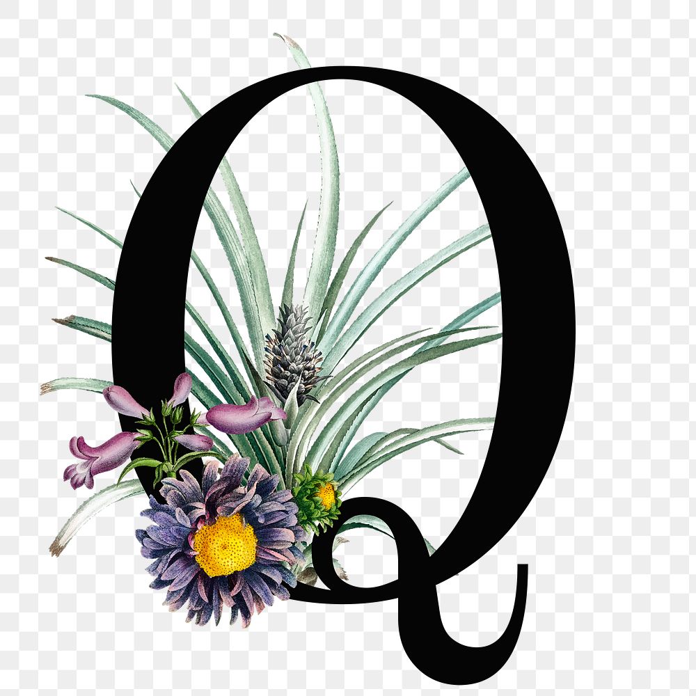 Elegant alphabet Q png floral typography