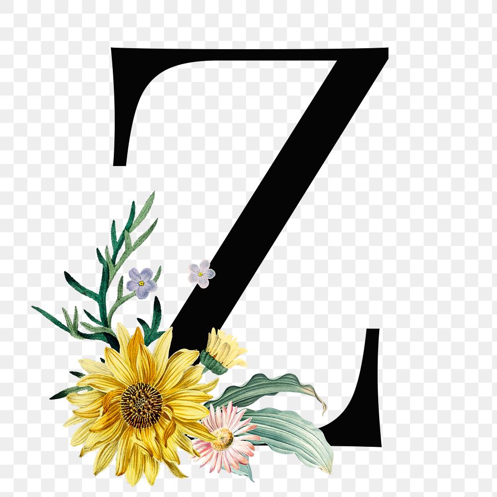 Elegant alphabet Z png floral typography