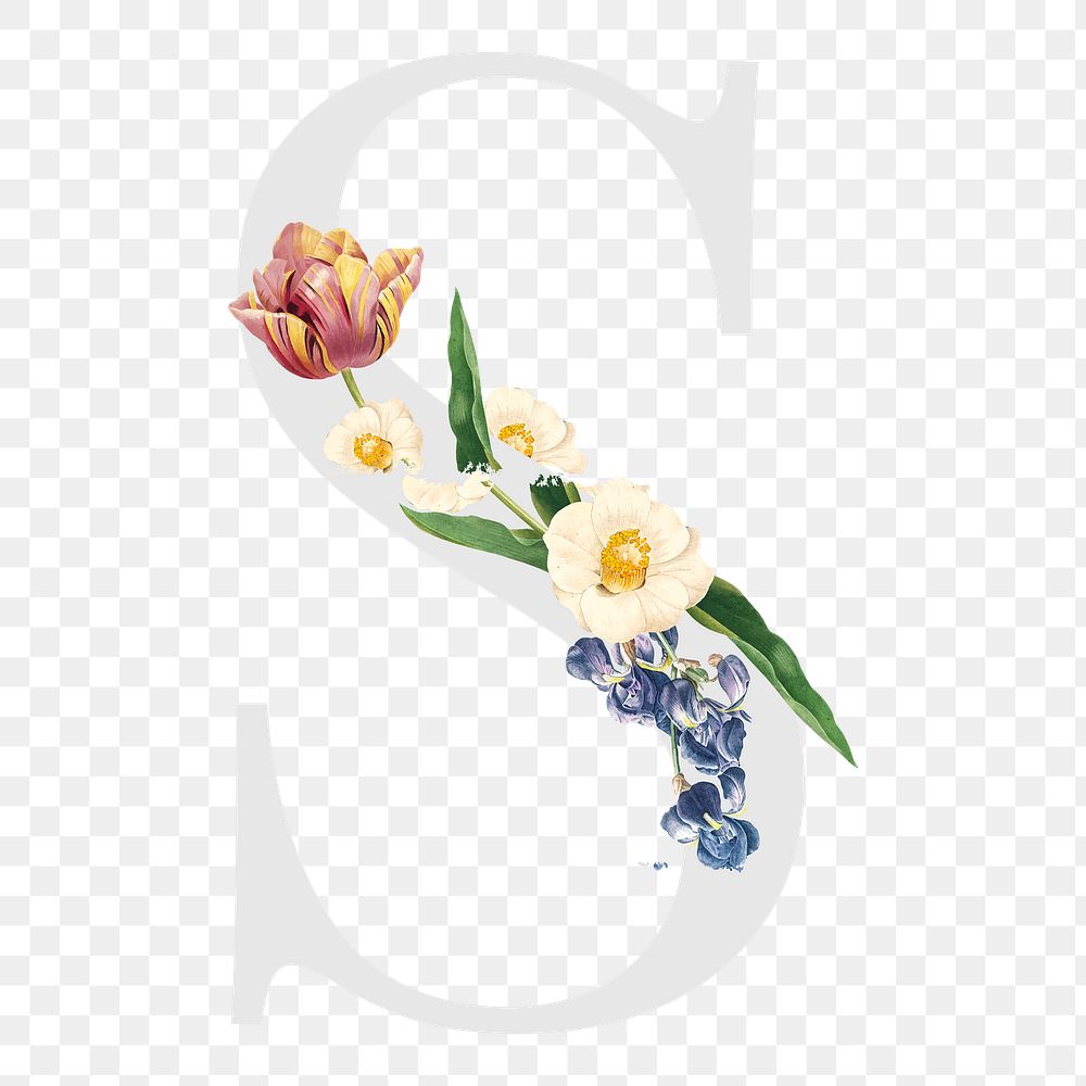 Flower decorated capital letter S typography