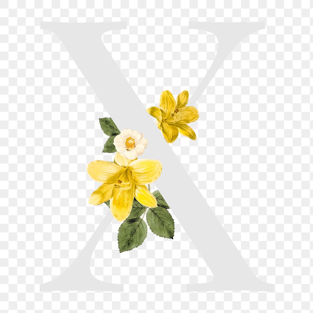 Flower decorated capital letter X typography