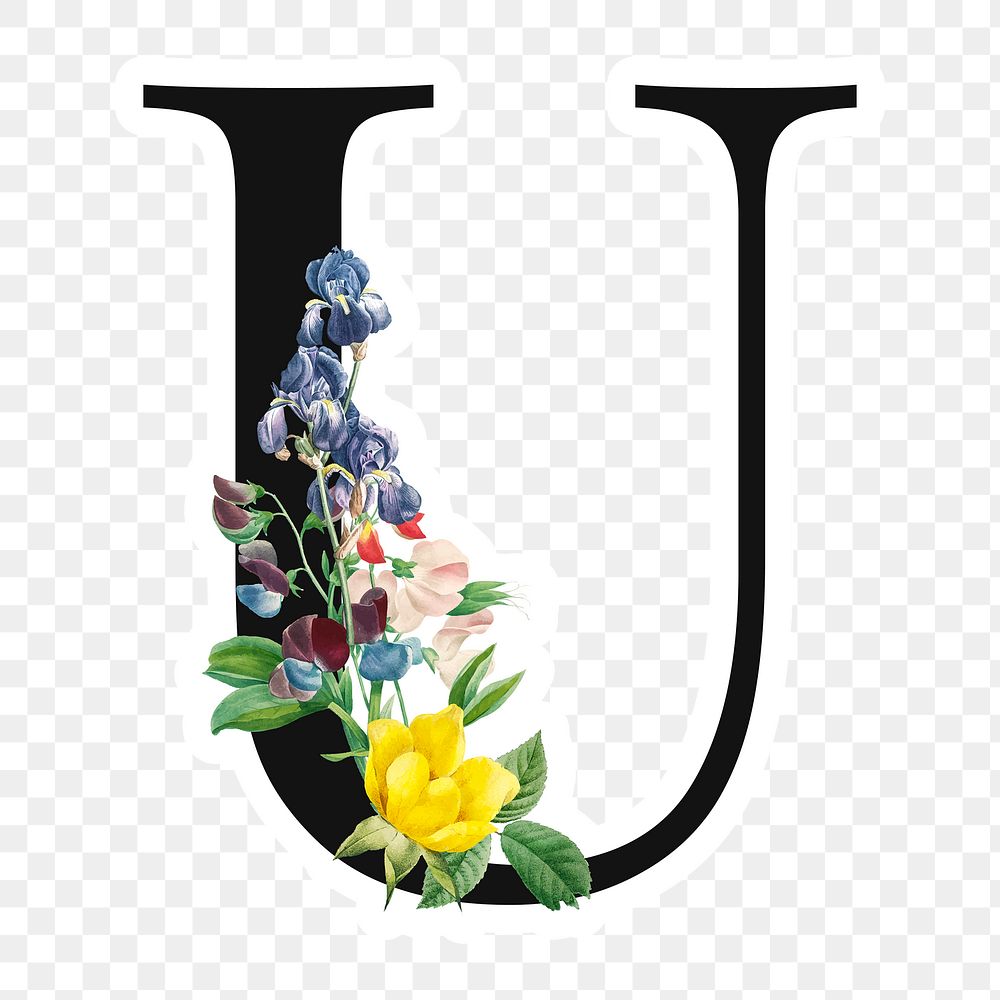 Botanical Capital Letter U Images  Free Photos, PNG Stickers, Wallpapers &  Backgrounds - rawpixel