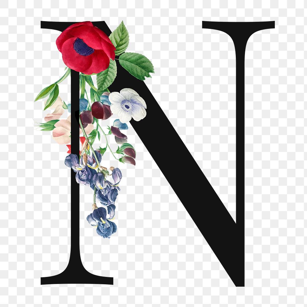 Flower decorated capital letter N typography