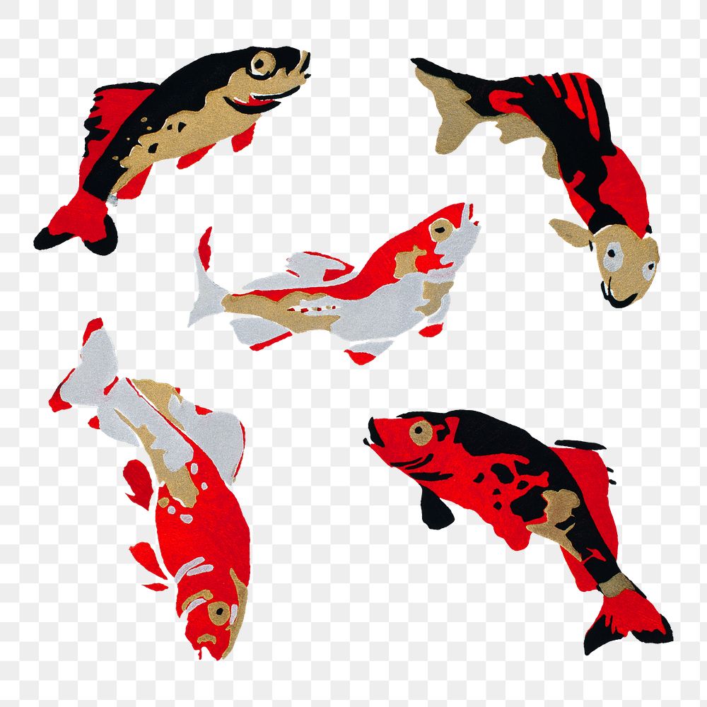 Carp fish png sticker, colorful vintage illustration set