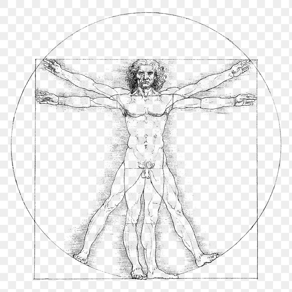 PNG Vitruvian man famous drawing, remixed from artworks by Leonardo da Vinci