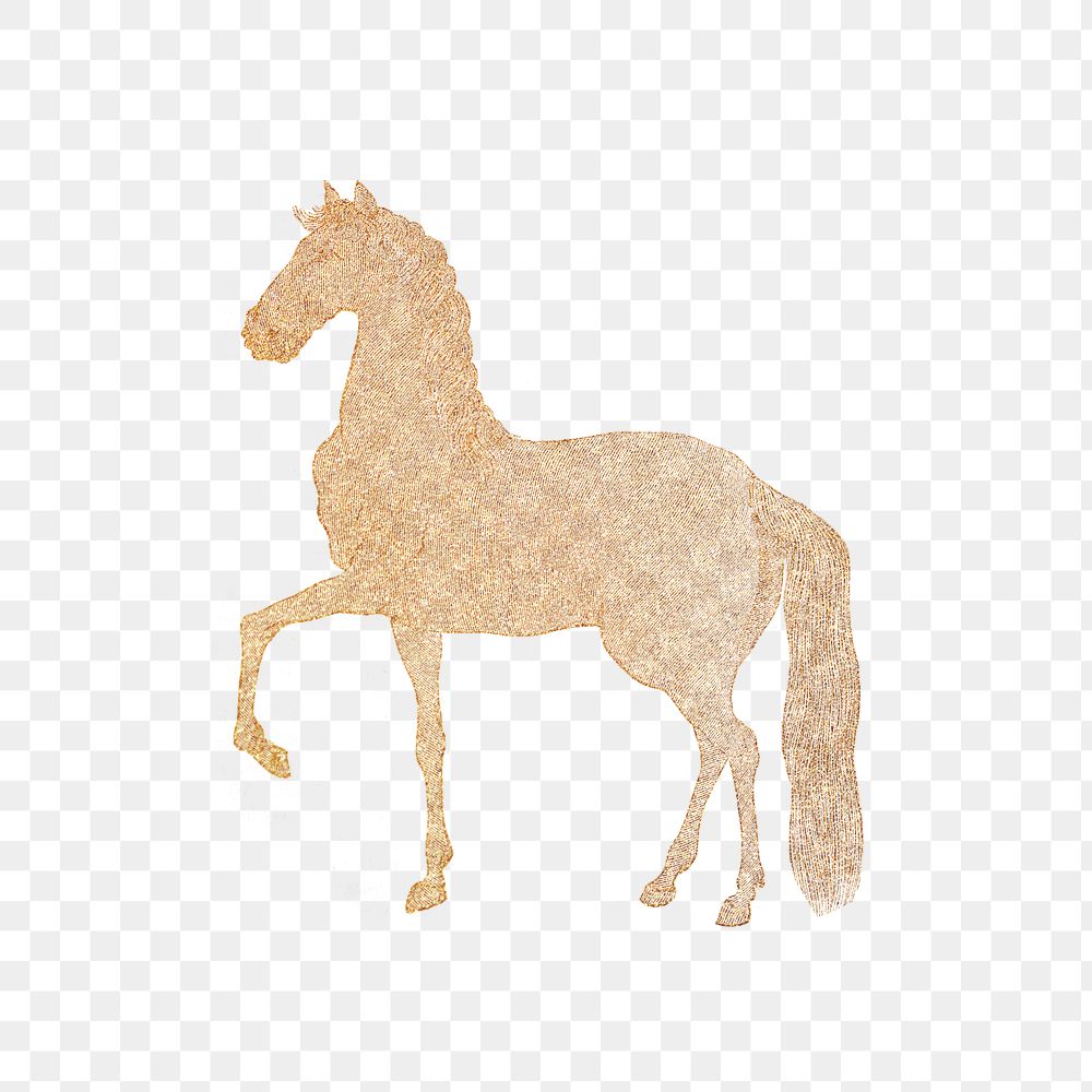 Tan horse transparent png