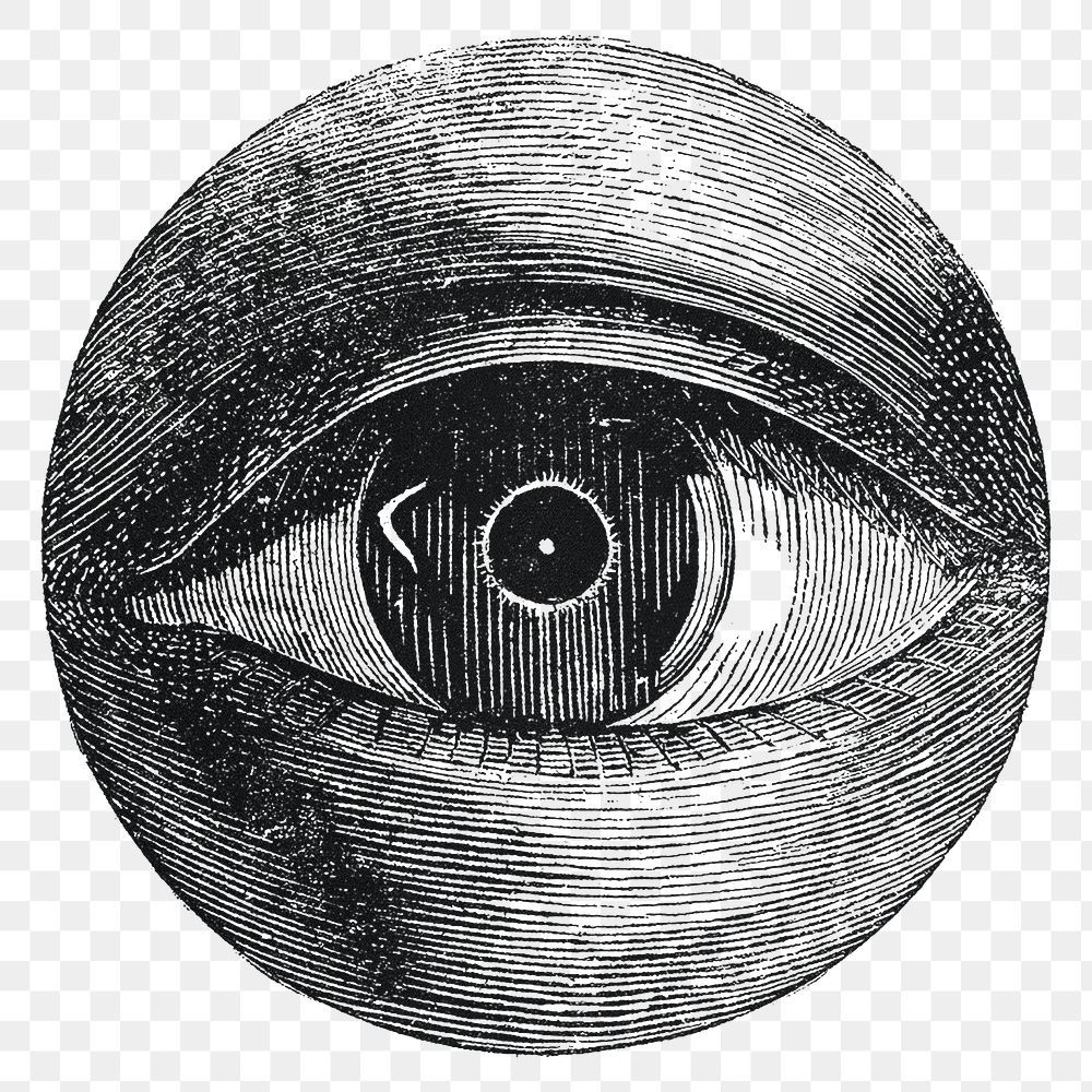 Vintage eye drawing png, remixed from artwork by Isaac Weissenbruch.
