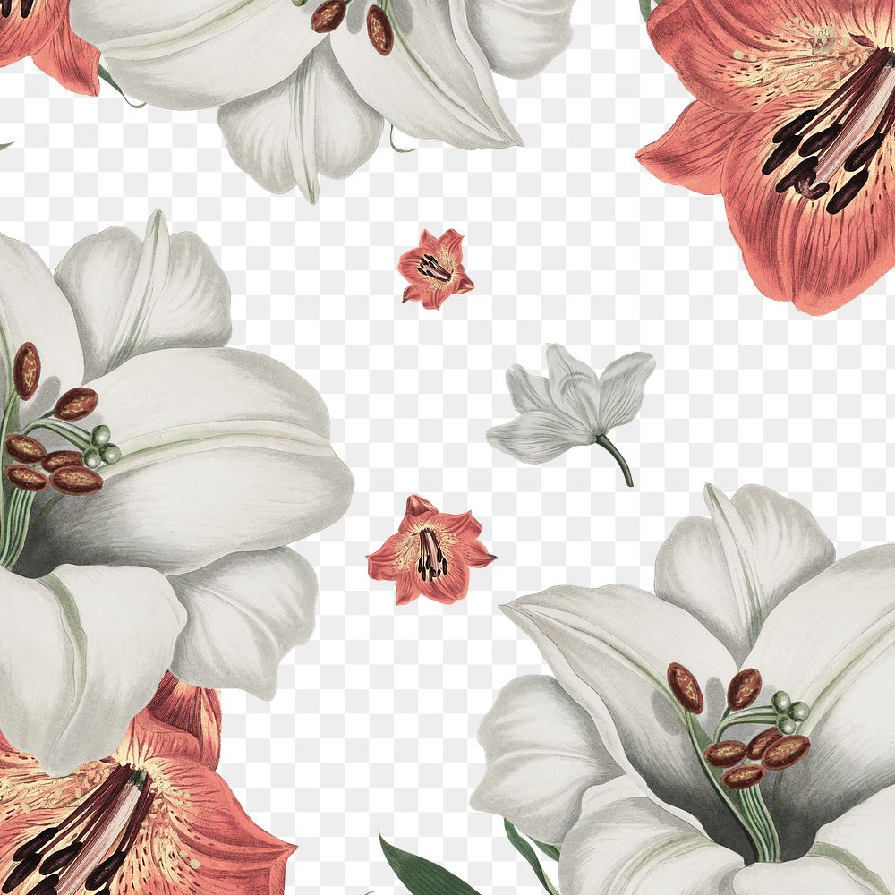 Vintage white and orange lily flower pattern background design resource