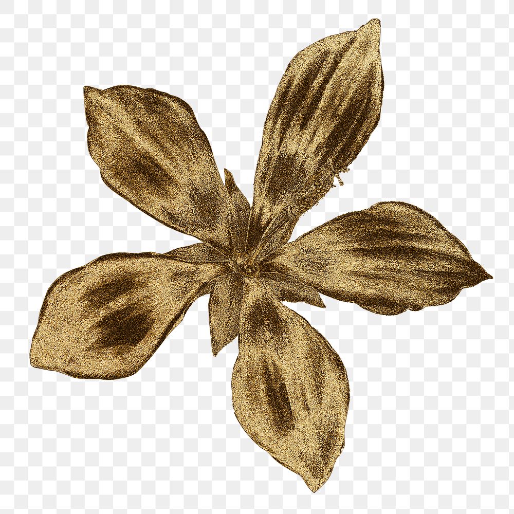Vintage gold ketmia flower design element