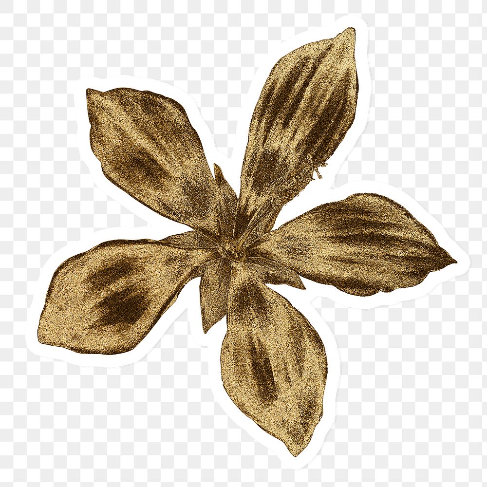 Vintage gold ketmia flower sticker with white border