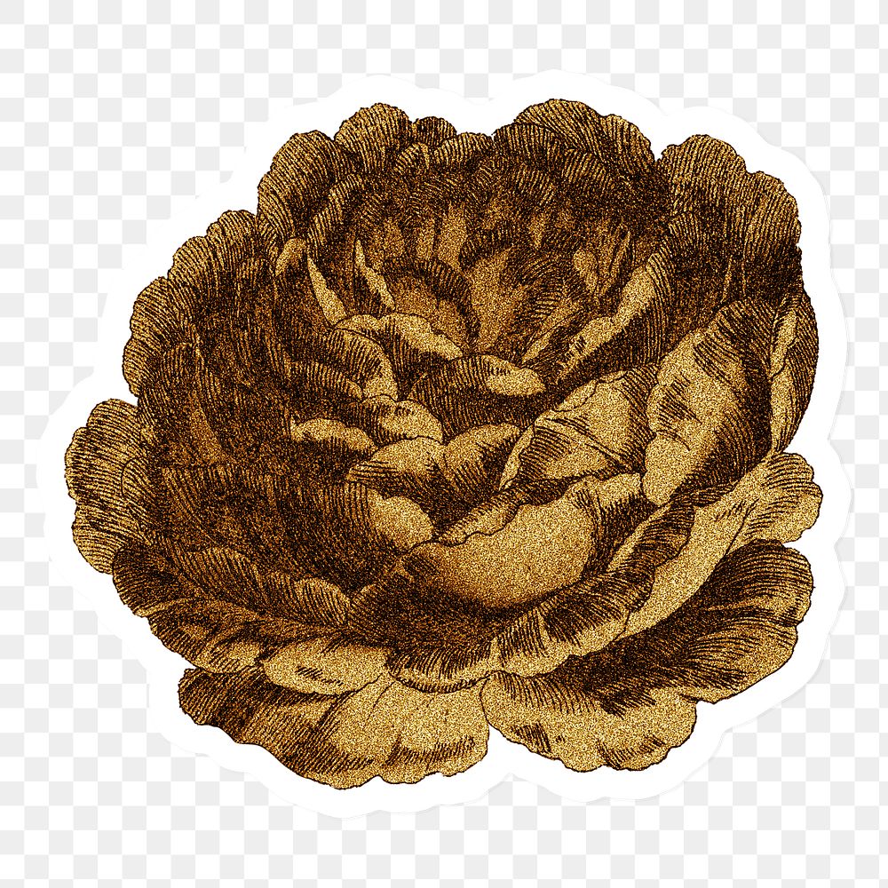 Vintage gold rose flower design element