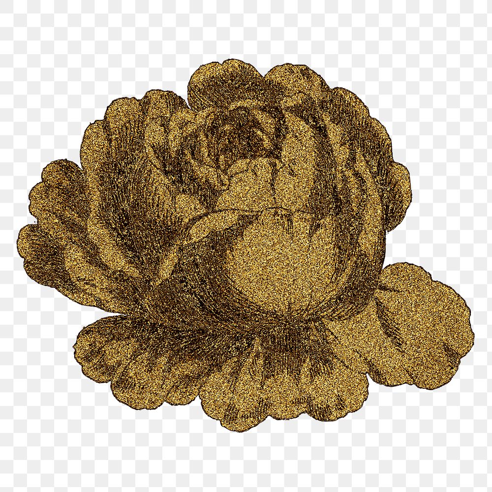 Vintage gold cabbage provence rose flower design element