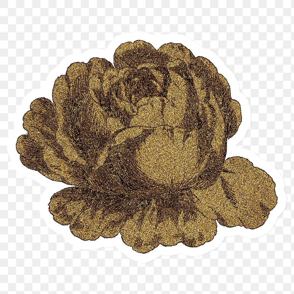 Vintage gold cabbage provence rose flower sticker with white border