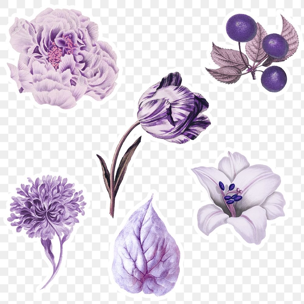 Vintage purple flower, leaf and fruit sticker collection