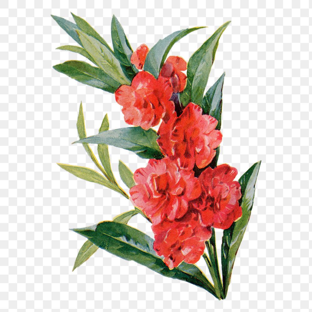 Balsam flower png sticker, watercolor illustration, digitally enhanced from our own original copy of The Open Door to…