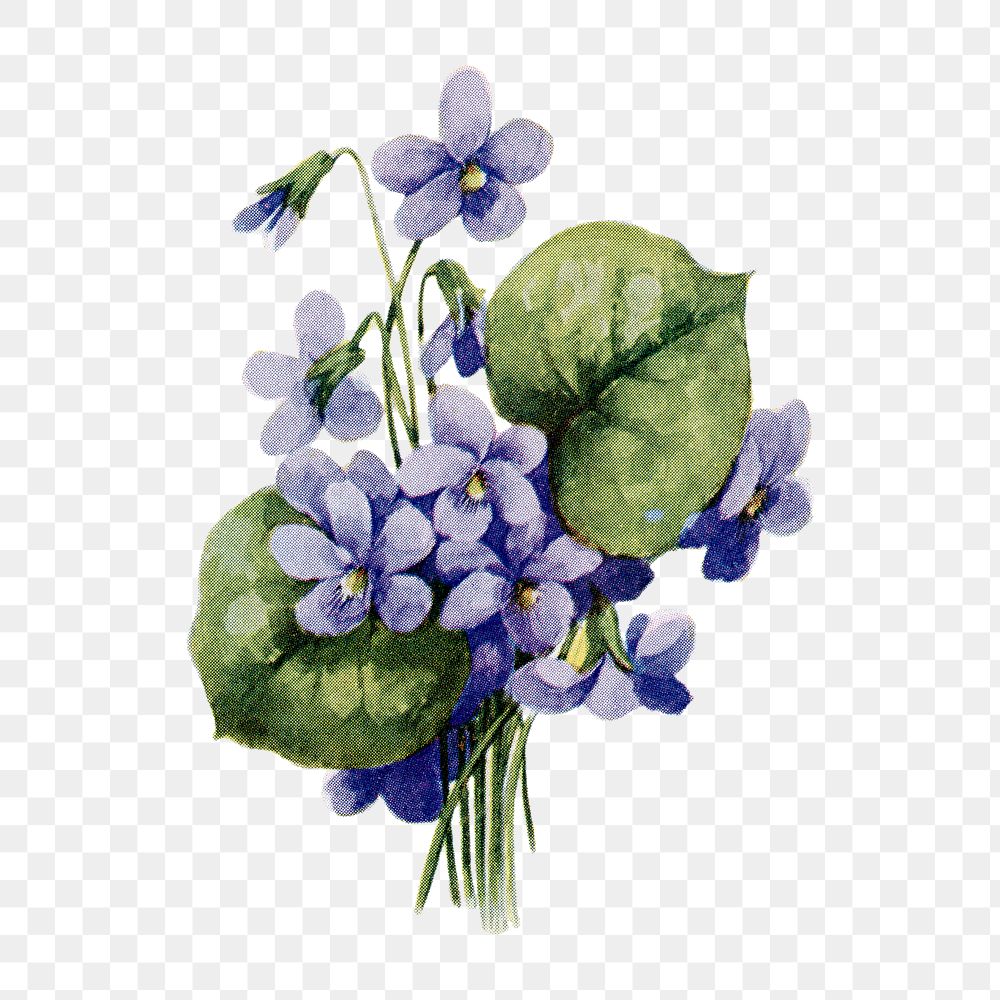 Violets flower png sticker, watercolor illustration, digitally enhanced from our own original copy of The Open Door to…