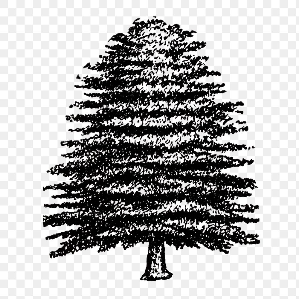 Tree clipart png, black ink drawing, digitally enhanced from our own original copy of The Open Door to Independence (1915)…