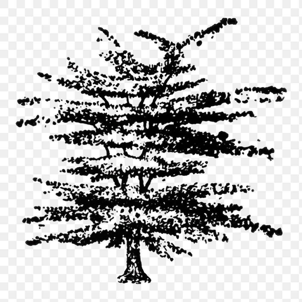 Tree sticker png, black ink drawing, digitally enhanced from our own original copy of The Open Door to Independence (1915)…