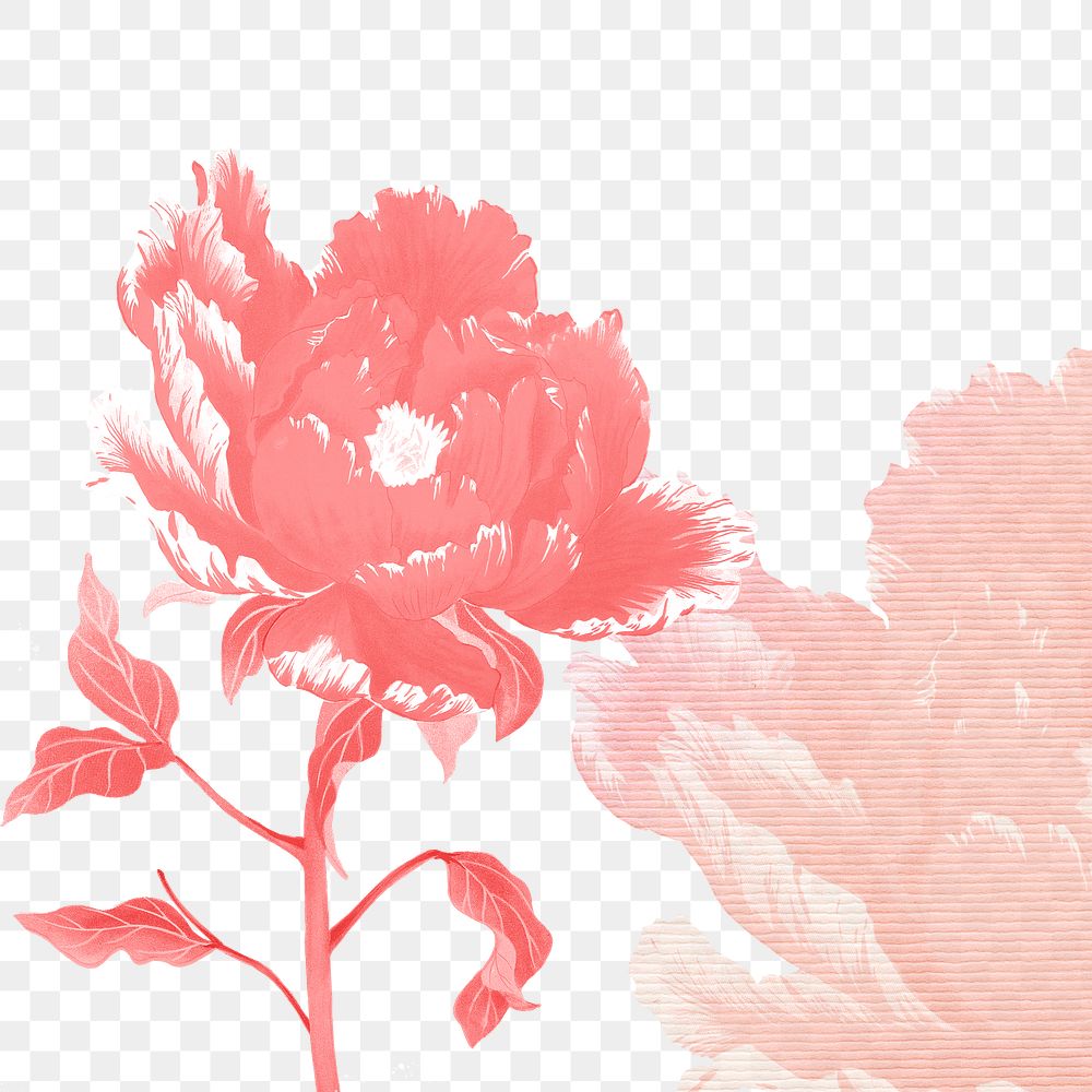 Aesthetic floral png design element, colorful peony flower, vintage graphic on transparent background