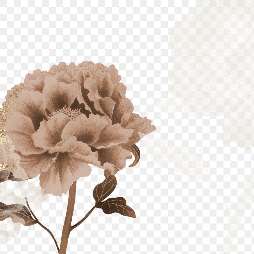 Peony png border, brown & white flower, floral design on transparent background
