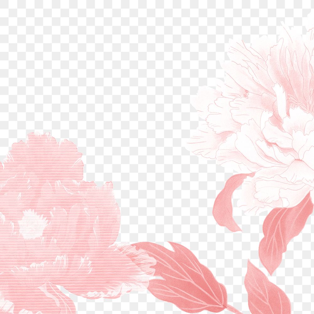 Peony png border, pink flower, floral design on transparent background