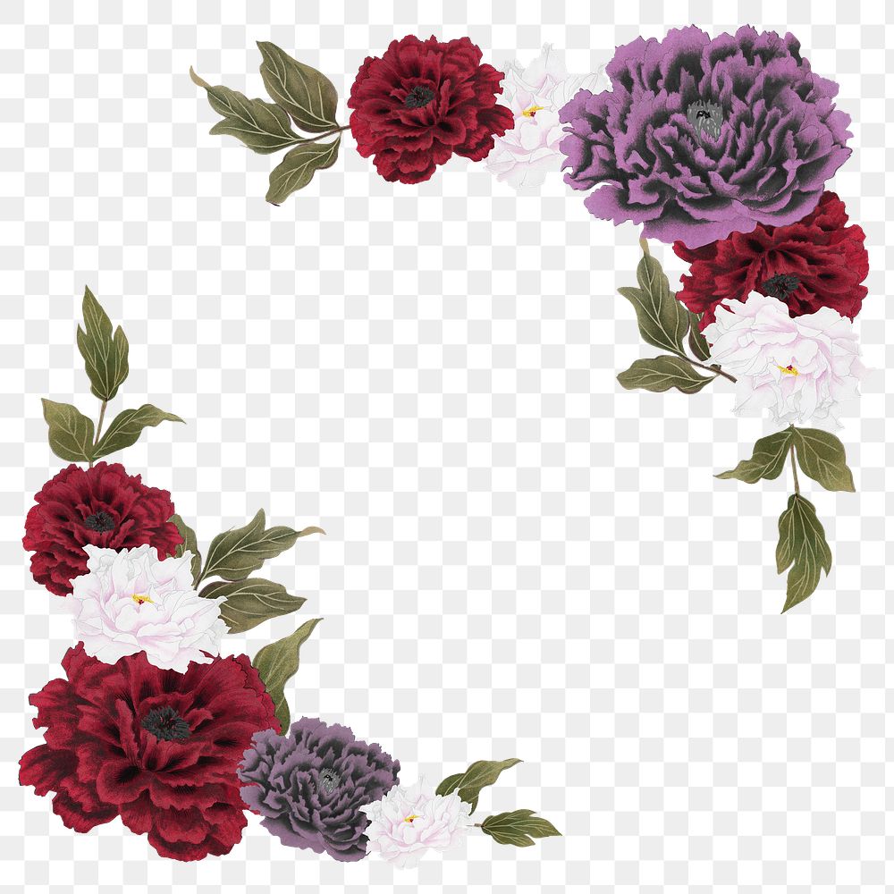 Colorful peony png frame, flower collage element on transparent background