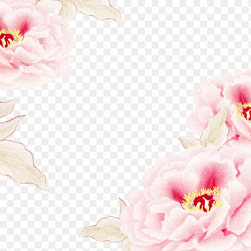 Pink peony png frame, flower collage element on transparent background