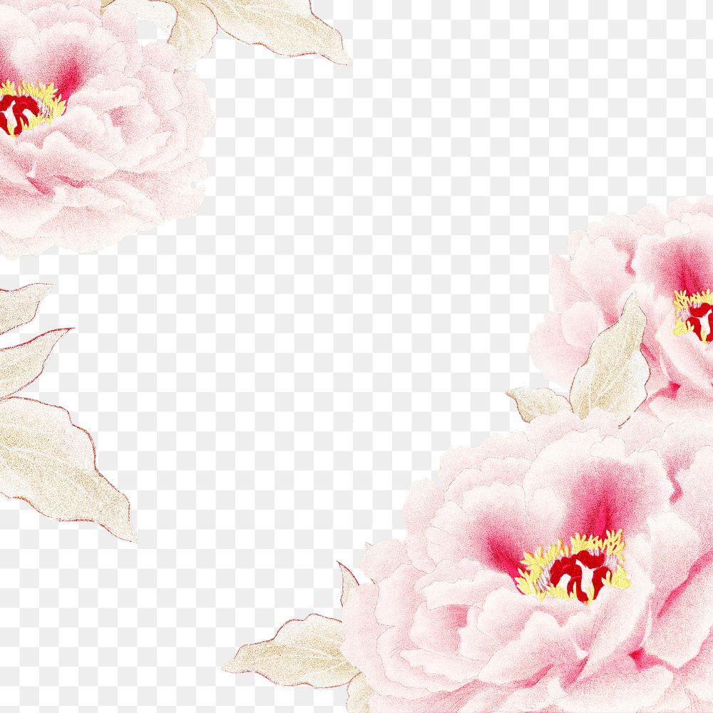 Pink peony png frame, flower | Premium PNG - rawpixel