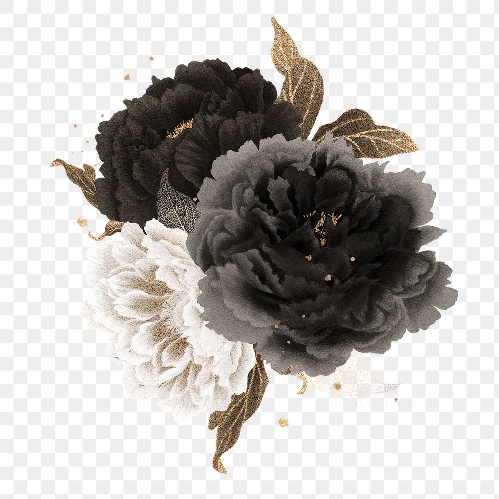 Japanese peony png clipart, black botanical floral design on transparent background