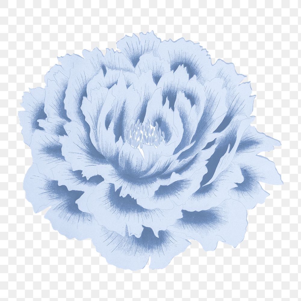 Japanese peony flower png clipart, blue botanical floral design on transparent background