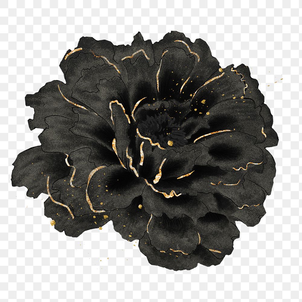 Black peony png sticker, botanical flower design element on transparent background