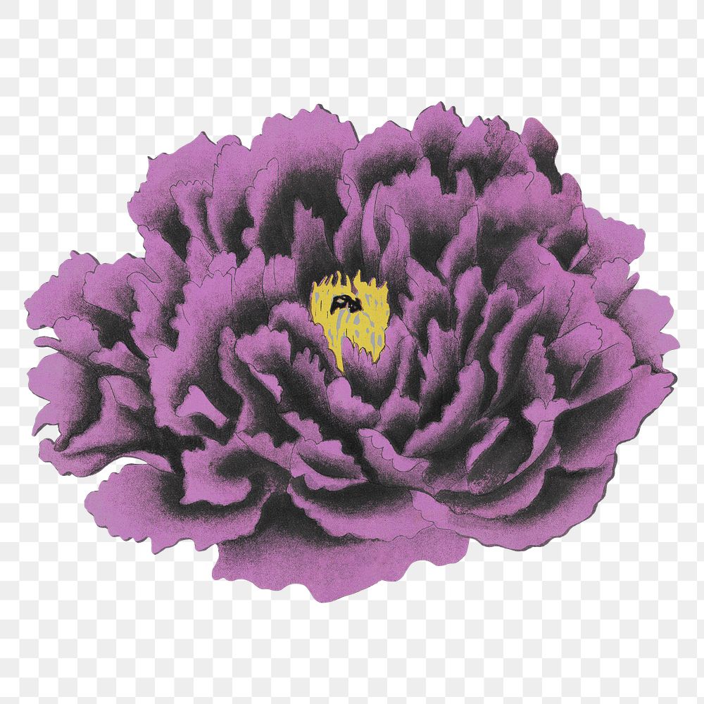 Japanese peony png clipart, purple botanical floral design on transparent background