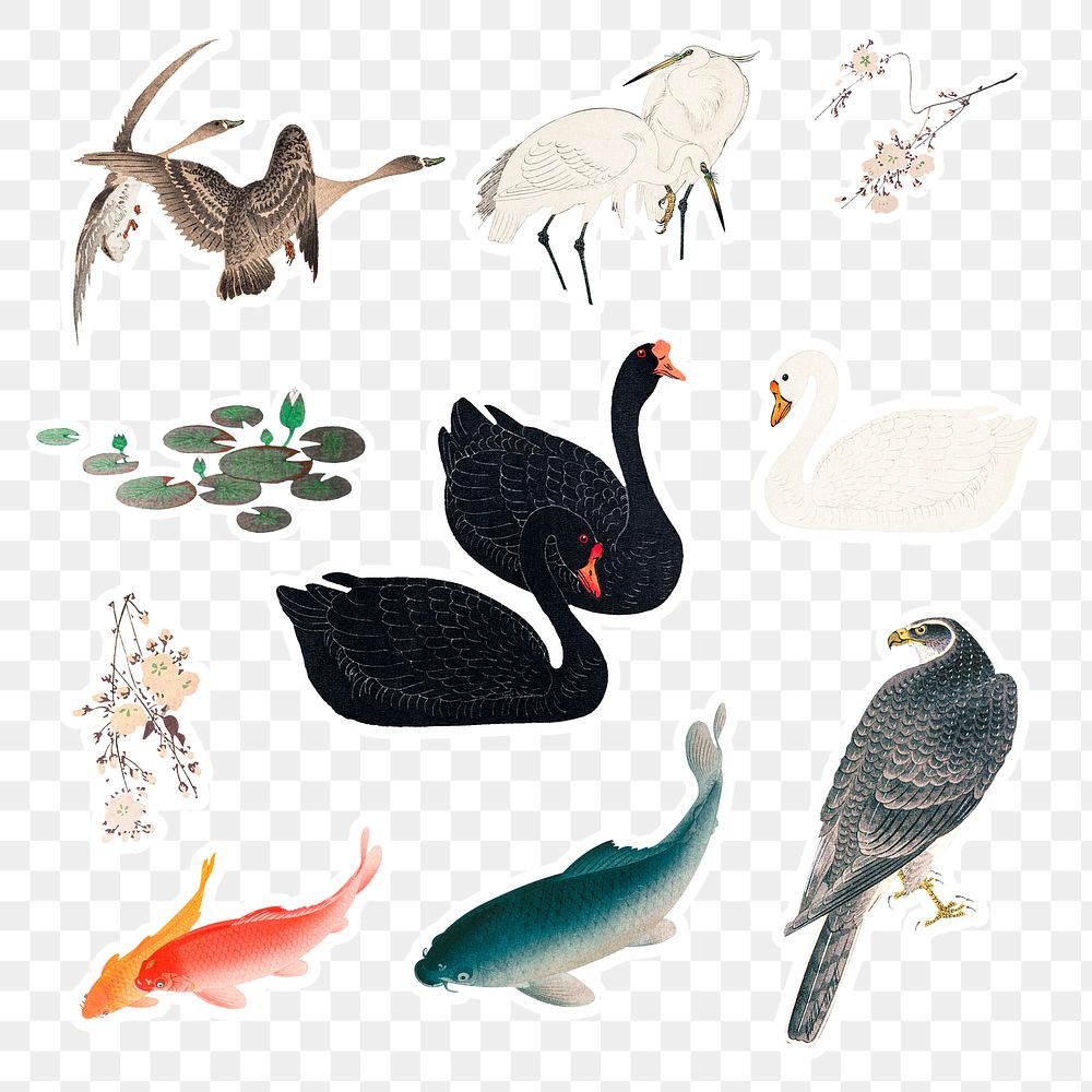 Animal sticker overlay design resources on transparent background 