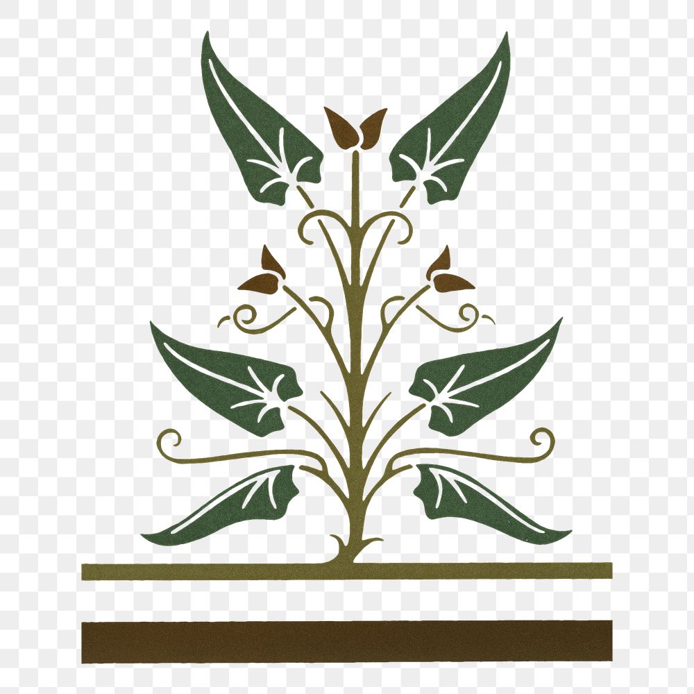 Ancient Greek png floral element illustration