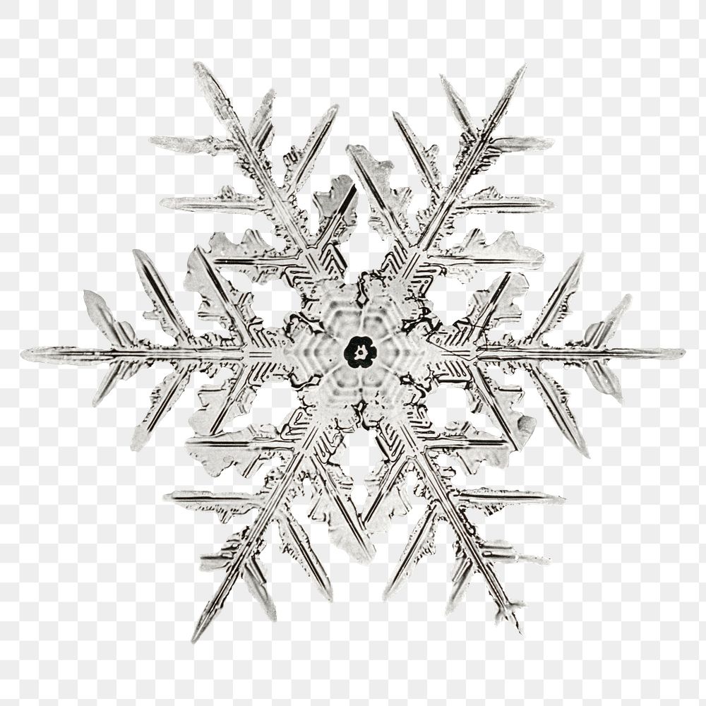 Snowflake png Christmas ornament macro photography, remix of photography by Wilson Bentley