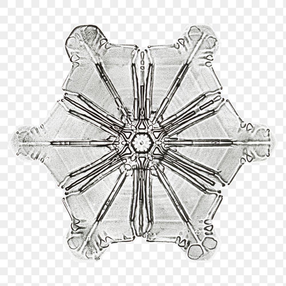 Winter snowflake transparent Christmas ornament macro photography, remix of photography by Wilson Bentley