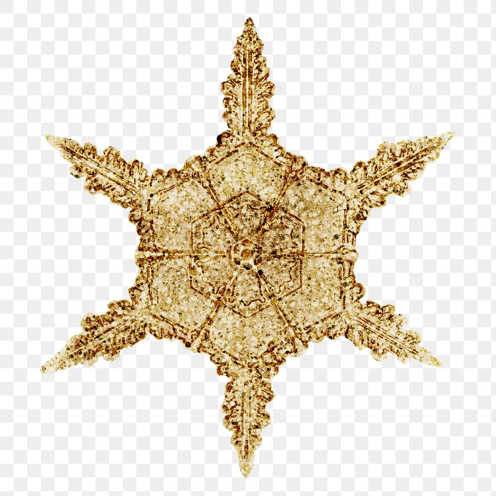 Winter gold snowflake transparent Christmas ornament macro photography, remix of photography by Wilson Bentley