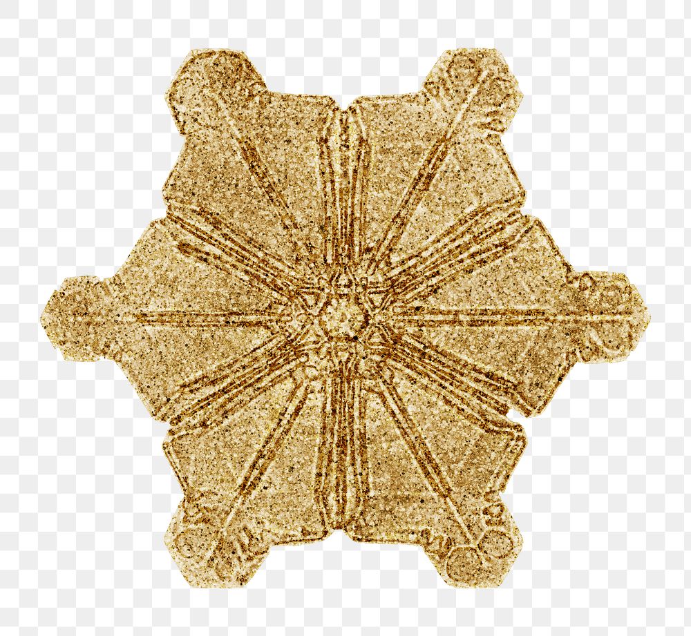 New year gold snowflake png Christmas ornament macro photography, remix of photography by Wilson Bentley
