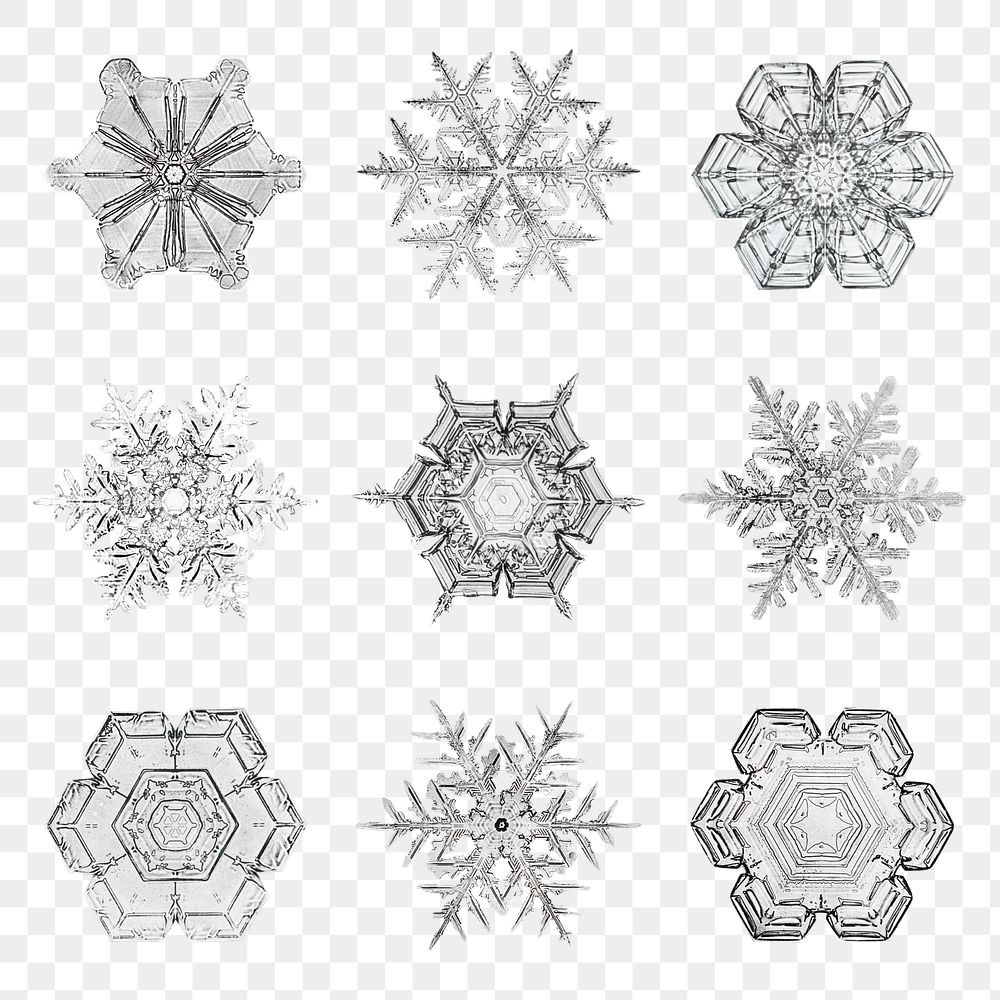 Christmas snowflake png set macro photography, remix of art by Wilson Bentley