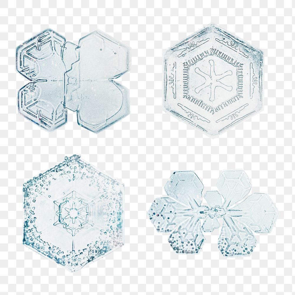 Snowflake png set Christmas ornament macro photography, remix of photography by Wilson Bentley