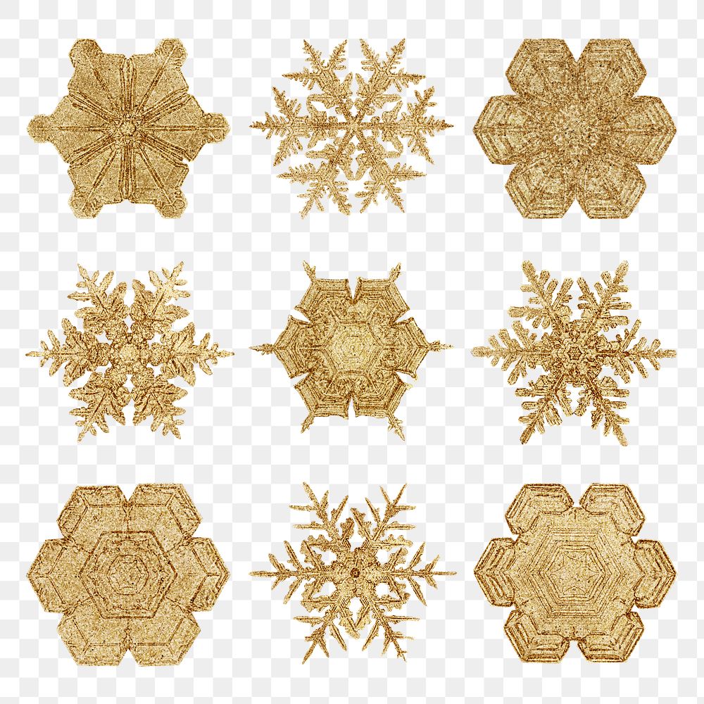 Christmas gold snowflake transparent set macro photography, remix of art by Wilson Bentley