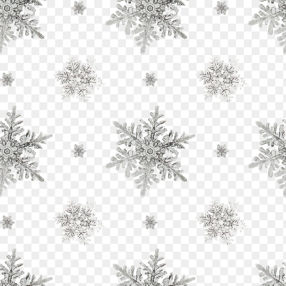 Season&rsquo;s greetings transparent snowflake pattern background, remix of photography by Wilson Bentley