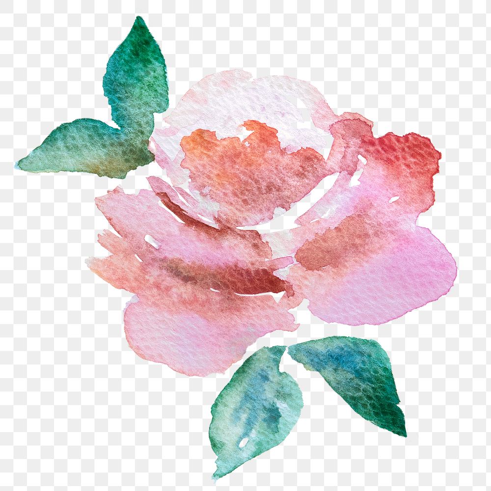 Flower watercolor design element transparent png